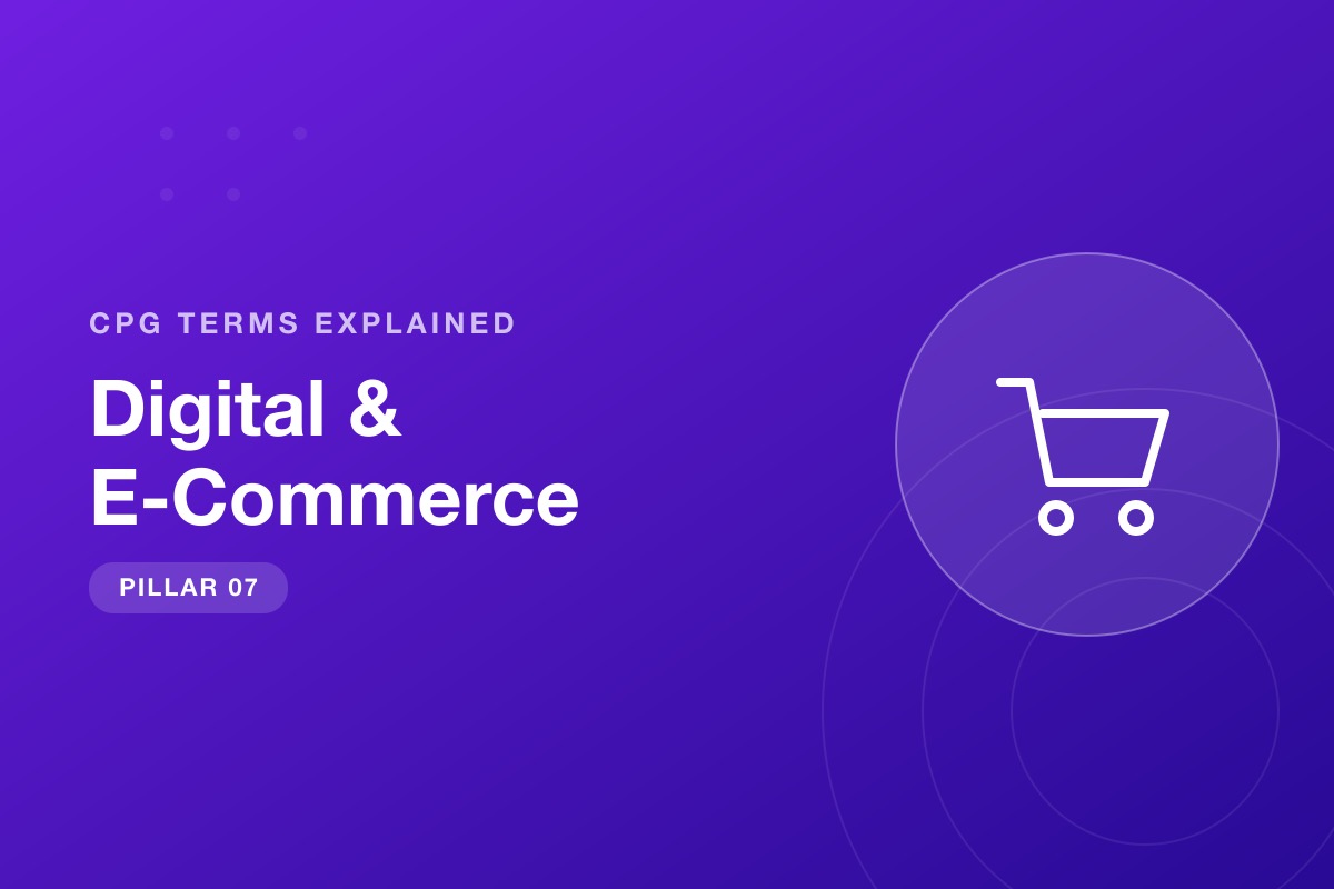 Pilar Digital & E-Commerce dari seri Istilah CPG Dijelaskan