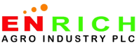 enrich logo